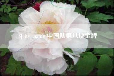 兰考中国队第八块金牌
