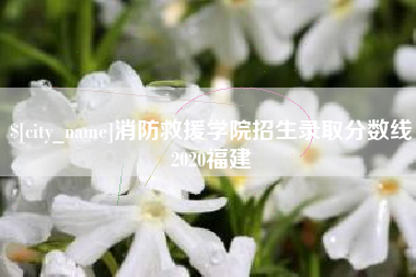 兰考消防救援学院招生录取分数线2020福建