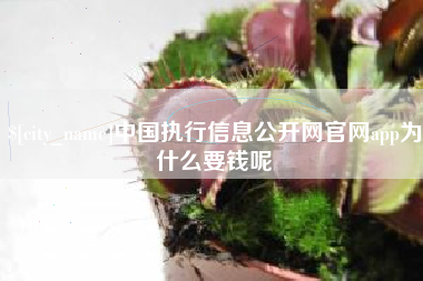兰考中国执行信息公开网官网app为什么要钱呢