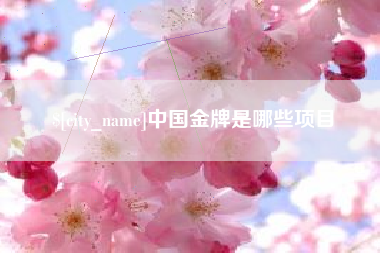 兰考中国金牌是哪些项目