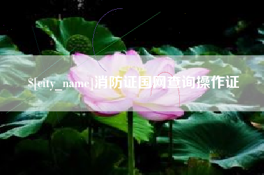 兰考消防证国网查询操作证