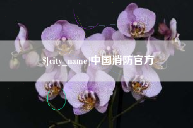兰考中国消防官方