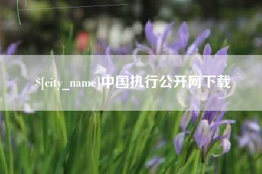 兰考中国执行公开网下载
