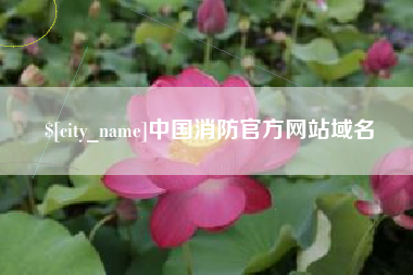 兰考中国消防官方网站域名
