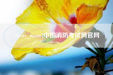 兰考中国消防考试网官网