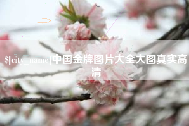 兰考中国金牌图片大全大图真实高清
