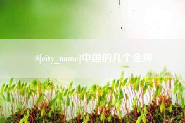兰考中国的几个金牌