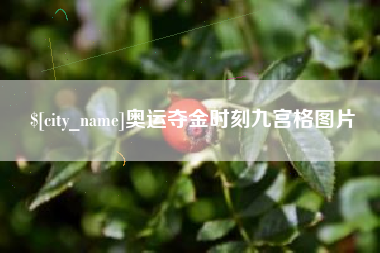 兰考奥运夺金时刻九宫格图片