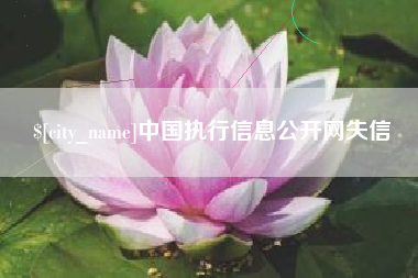兰考中国执行信息公开网失信