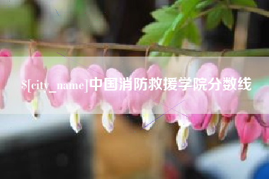 兰考中国消防救援学院分数线