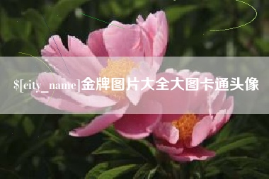 兰考金牌图片大全大图卡通头像