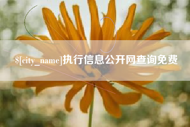 兰考执行信息公开网查询免费