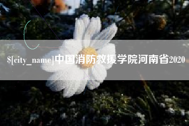 兰考中国消防救援学院河南省2020